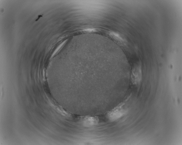 X0000062170330200512091436