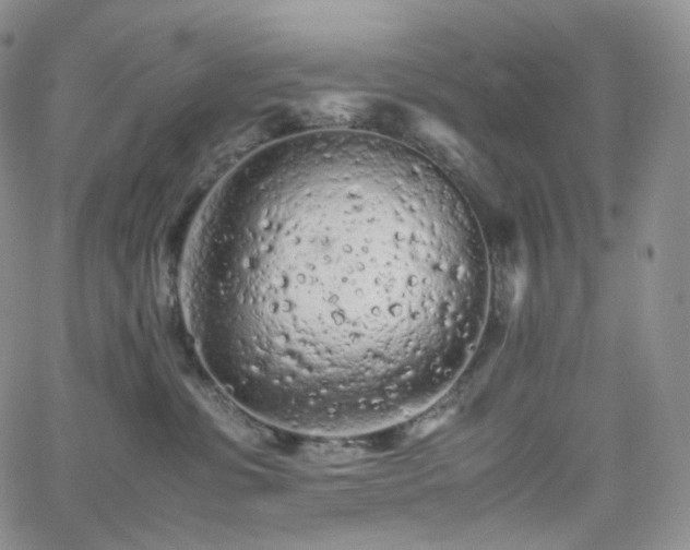 X0000062170331200512091436