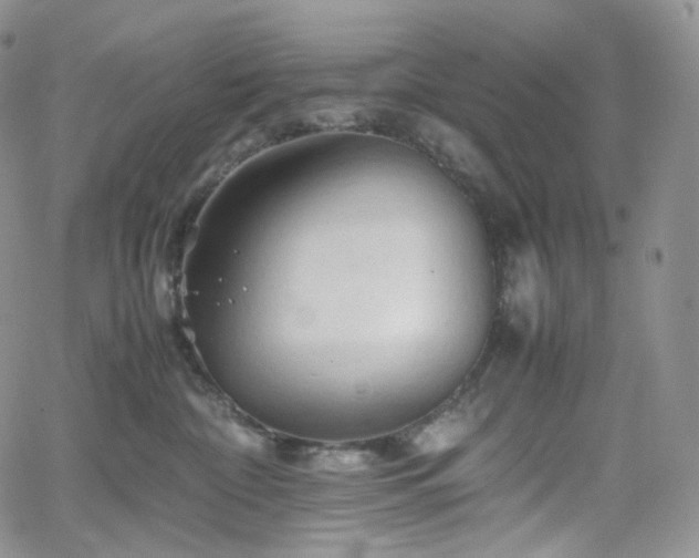 X0000062170332200512091436