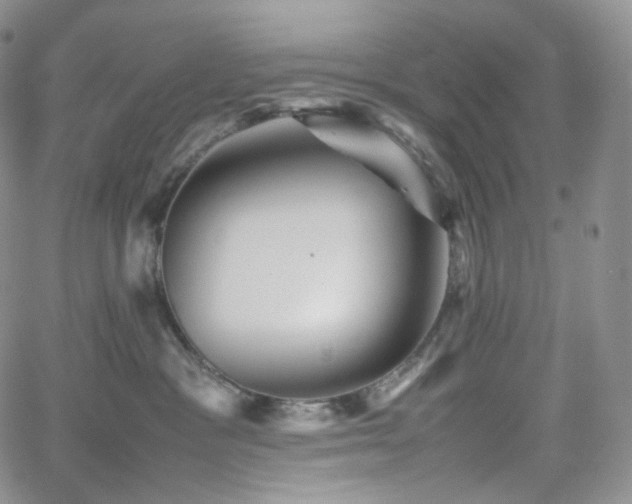 X0000062170333200512091436