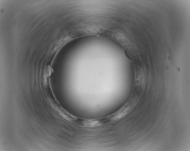 X0000062170334200512091436