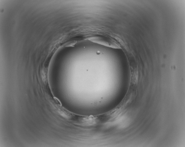 X0000062170335200512091436