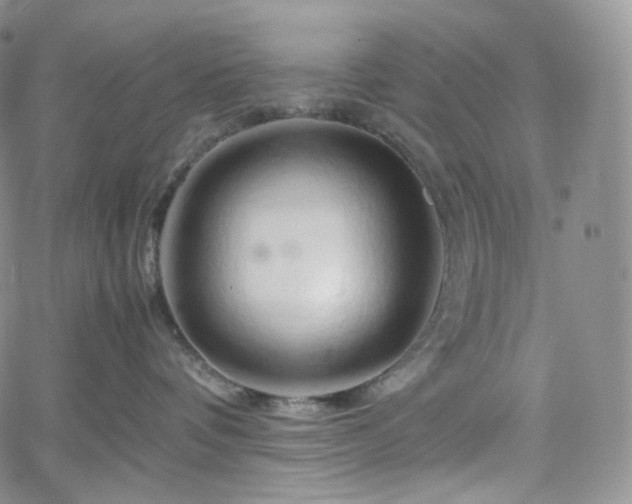 X0000062170336200512091436