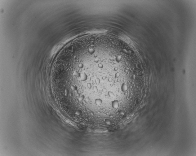 X0000062170337200512091435