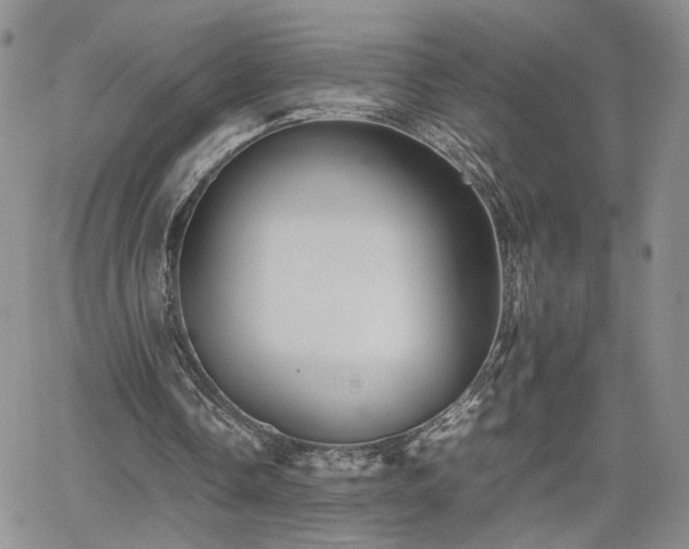 X0000062170338200512091435