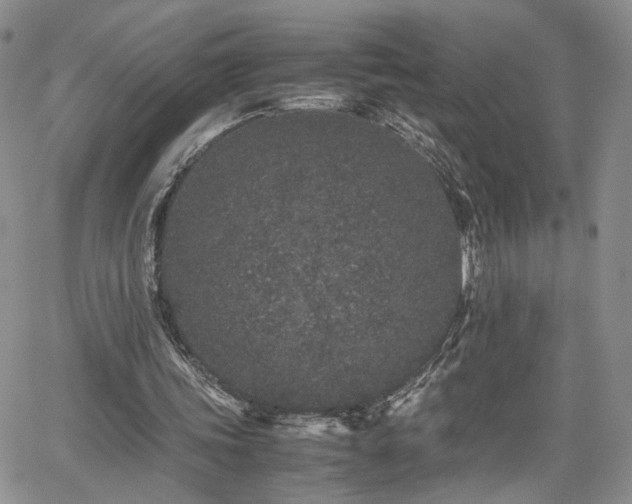 X0000062170339200512091436