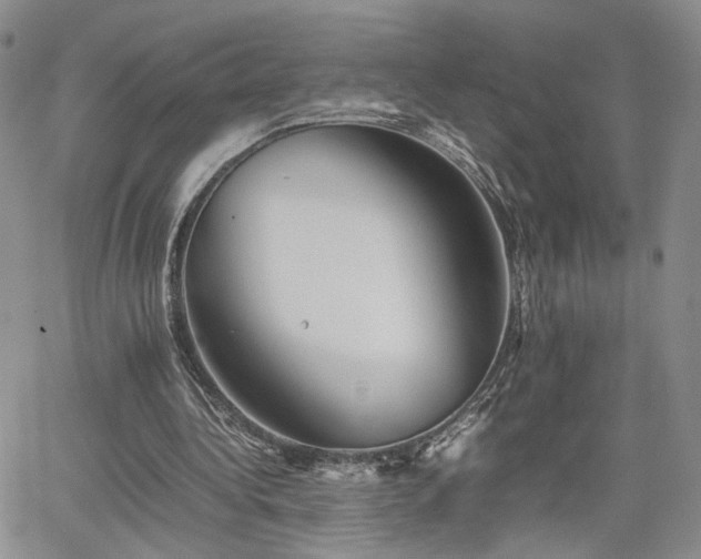 X0000062170340200512091436