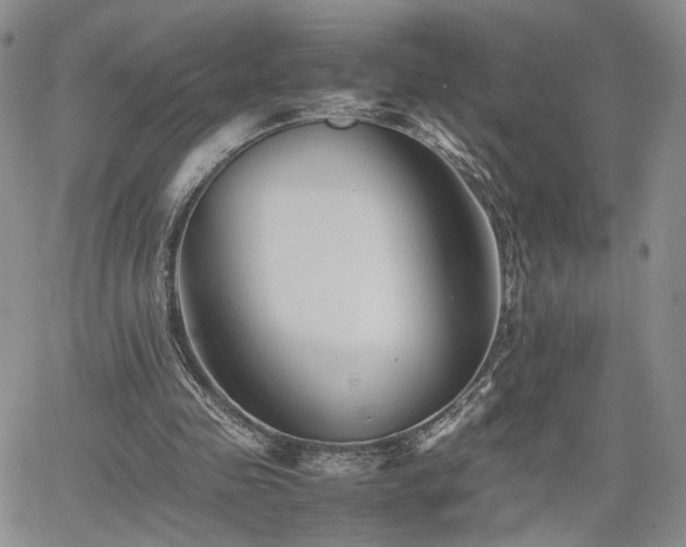 X0000062170341200512091436