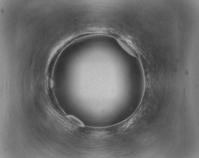 X0000062170342200512091436