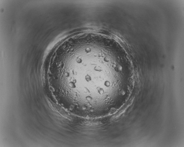 X0000062170343200512091436