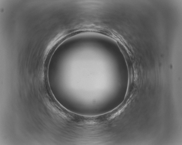 X0000062170344200512091436