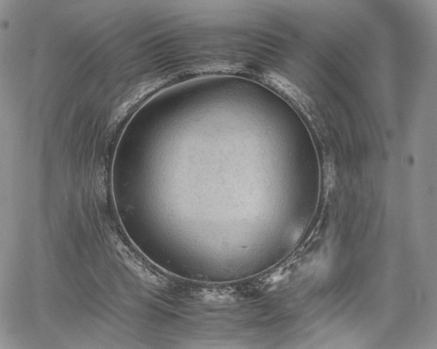 X0000062170345200512091436