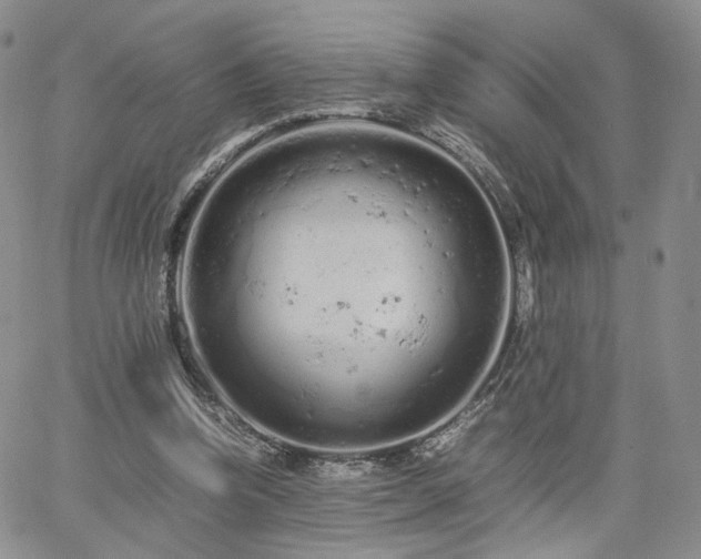 X0000062170346200512091436