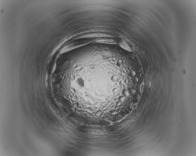 X0000062170347200512091436