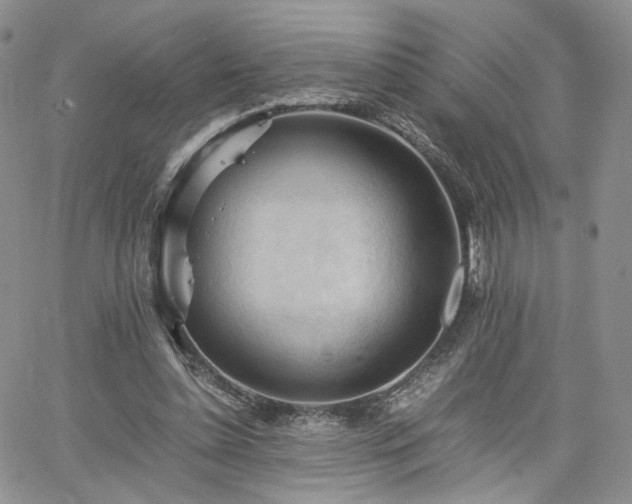 X0000062170348200512091436