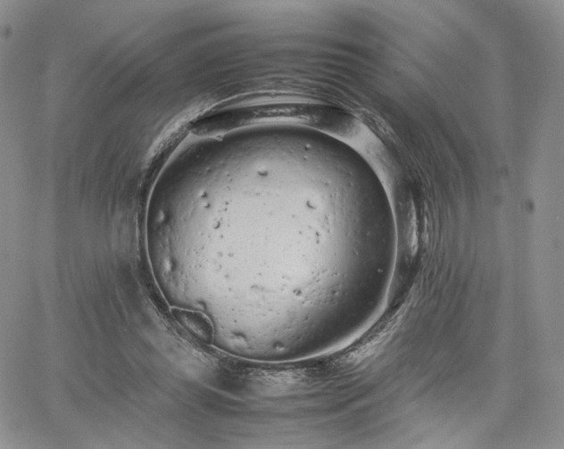 X0000062170349200512091436