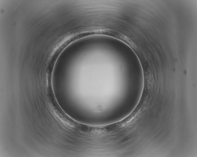 X0000062170350200512091436