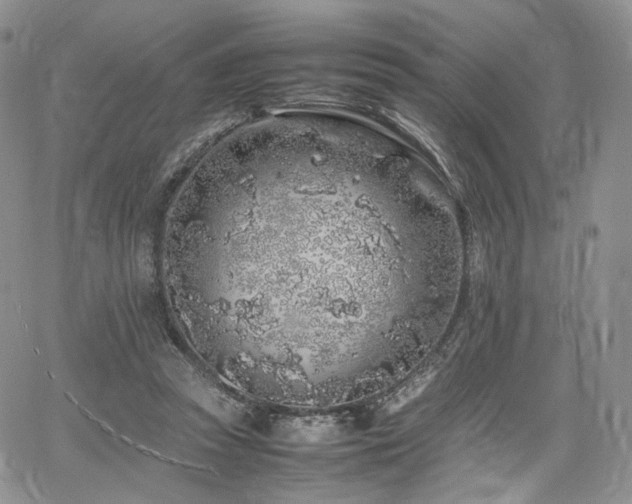 X0000062170353200512091436