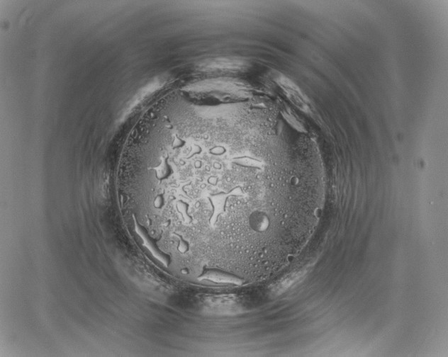 X0000062170355200512091436