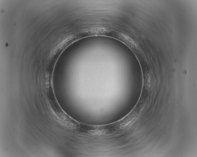 X0000062170356200512091436