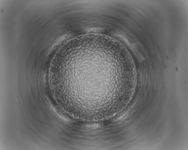 X0000062170357200512091436