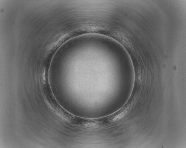 X0000062170358200512091436