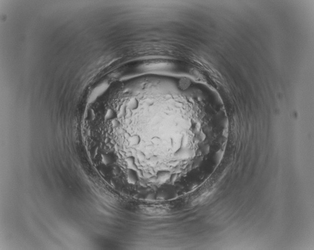 X0000062170359200512091436