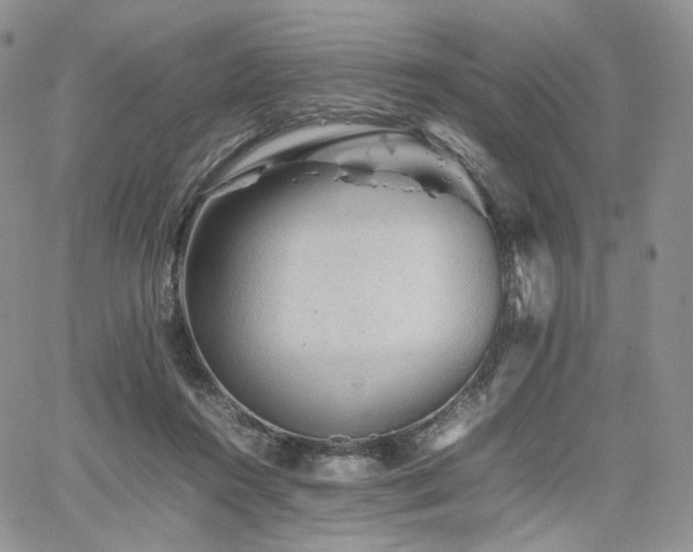 X0000062170360200512091436