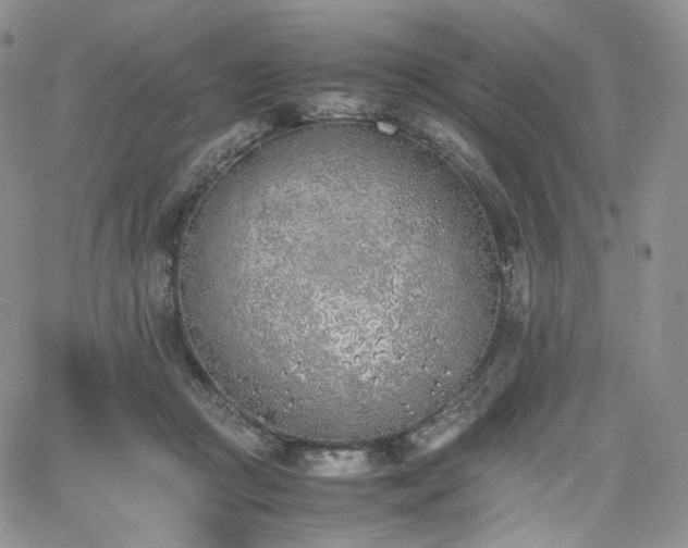 X0000062170361200512091436