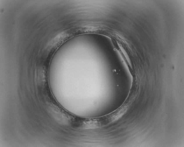 X0000062170362200512091436