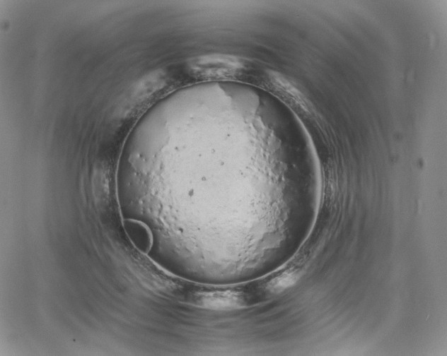 X0000062170363200512091436