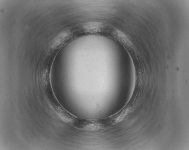 X0000062170364200512091436