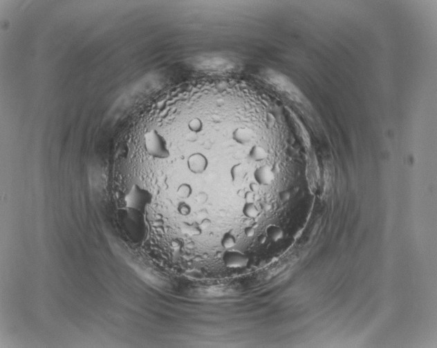 X0000062170365200512091436