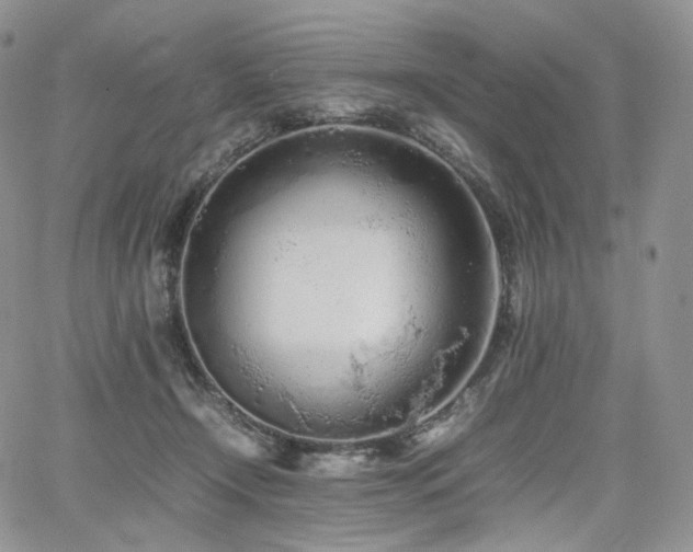 X0000062170366200512091436