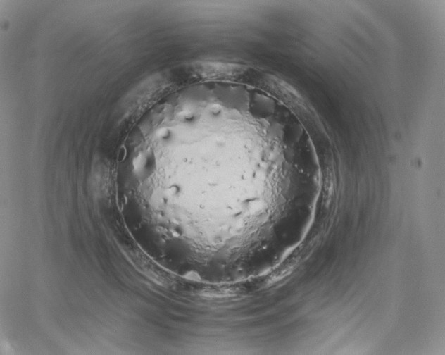 X0000062170367200512091436