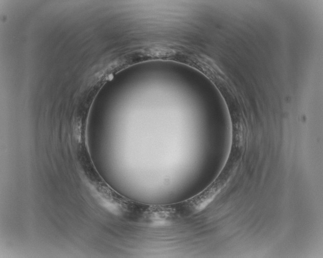 X0000062170368200512091436