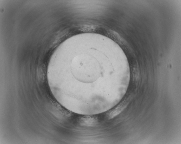 X0000062170370200512091436