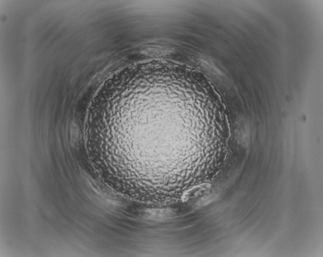 X0000062170371200512091436