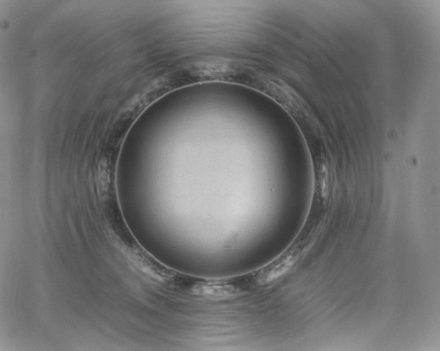 X0000062170372200512091436