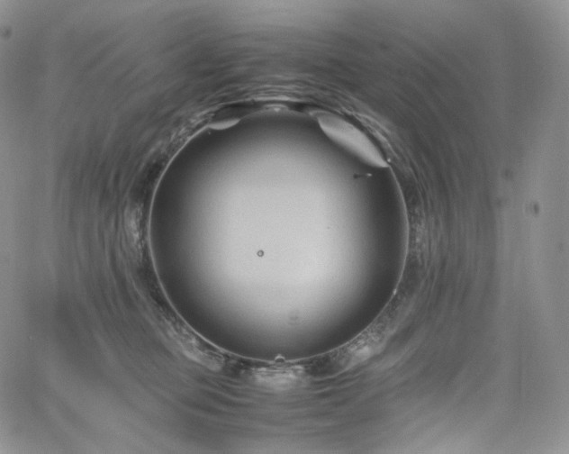 X0000062170373200512091436