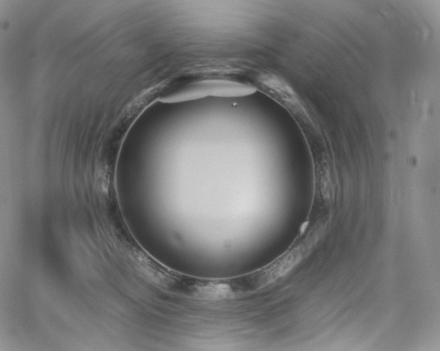 X0000062170374200512091436