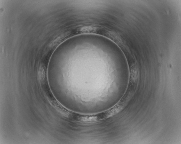 X0000062170375200512091436