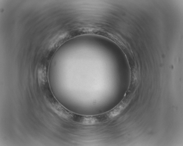 X0000062170376200512091436