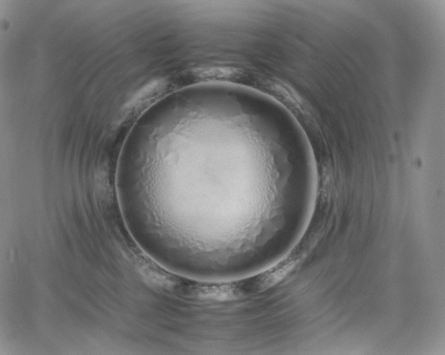 X0000062170377200512091436