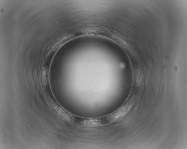 X0000062170378200512091436