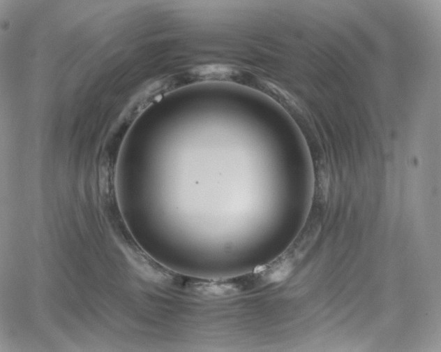 X0000062170379200512091436