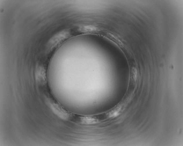 X0000062170380200512091436