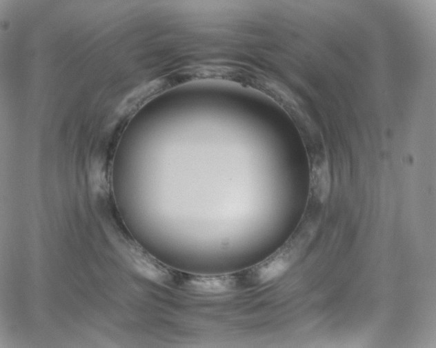 X0000062170381200512091436