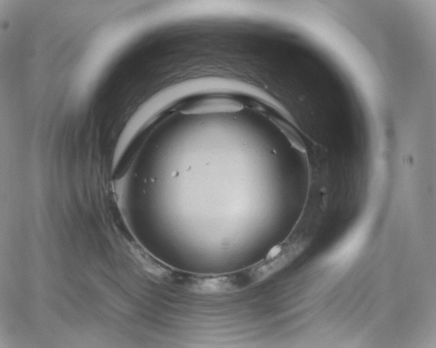 X0000062170382200512091436