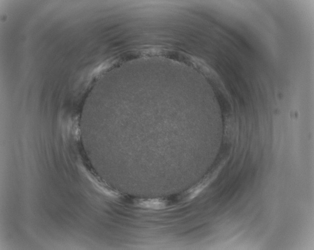 X0000062170383200512091436